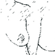 Illustration for article titled BOOB DIVERSITY